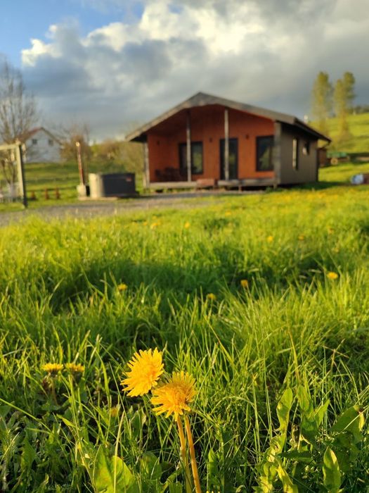 Котедж у Волосянці, Славське, Карпатах великий басейн, чан-джакузі