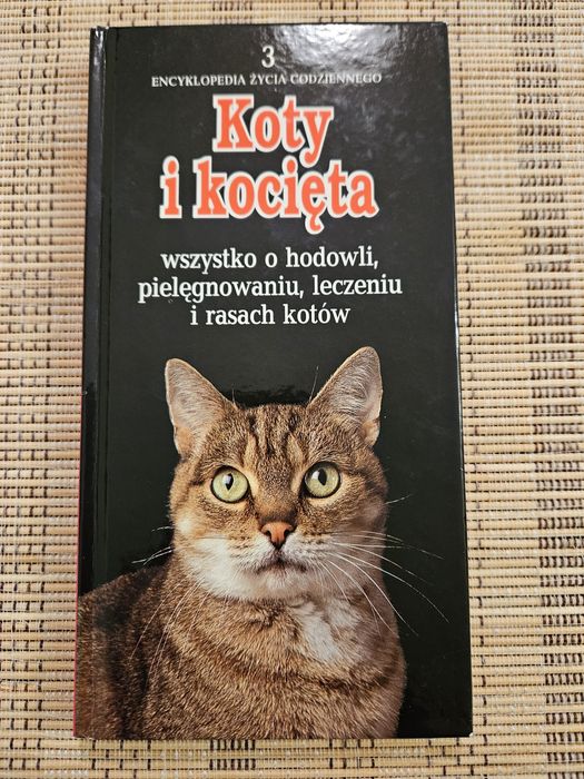 Koty i kocięta encyklopedia