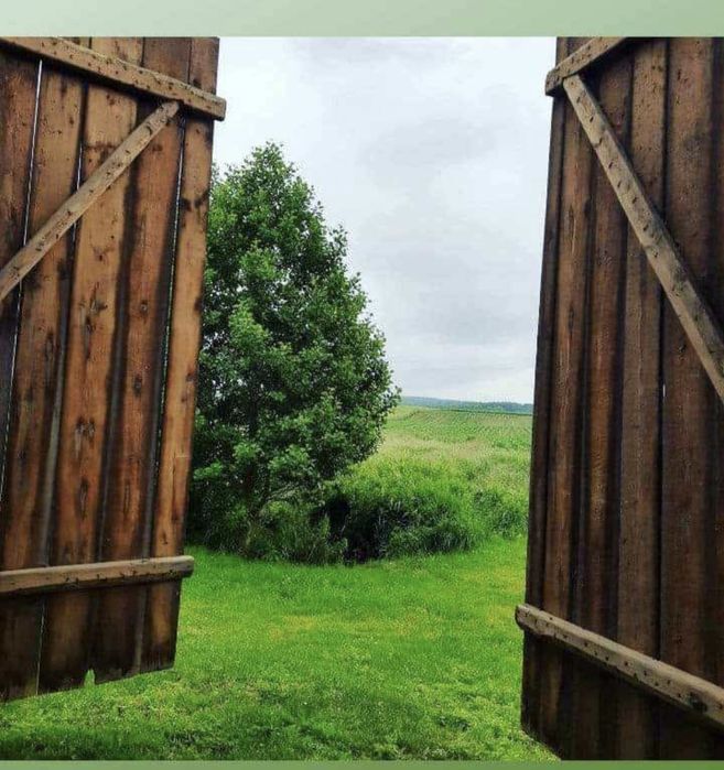 Pokoje noclegi Reggae kwatery