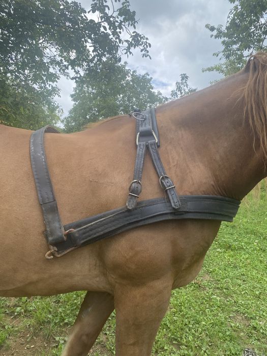 Продам шлею шкіряну