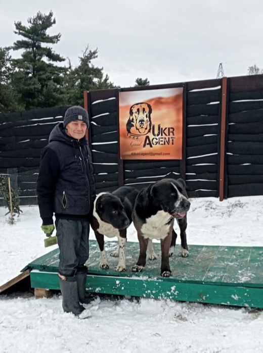 Перспективна самочка САВ