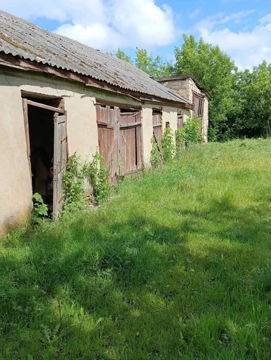 Комплекс будівель - с. Данилова Балка, Кіровоградська обл.