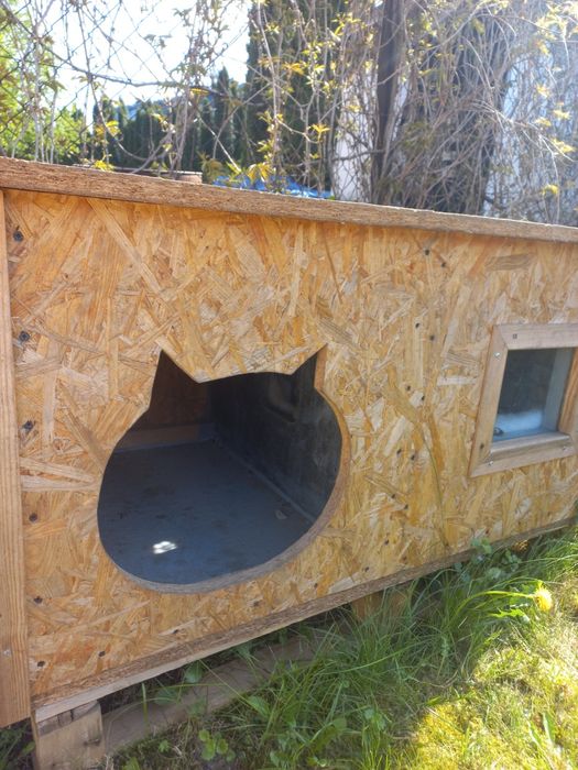 Duża buda dla psa lub kota lub razem.