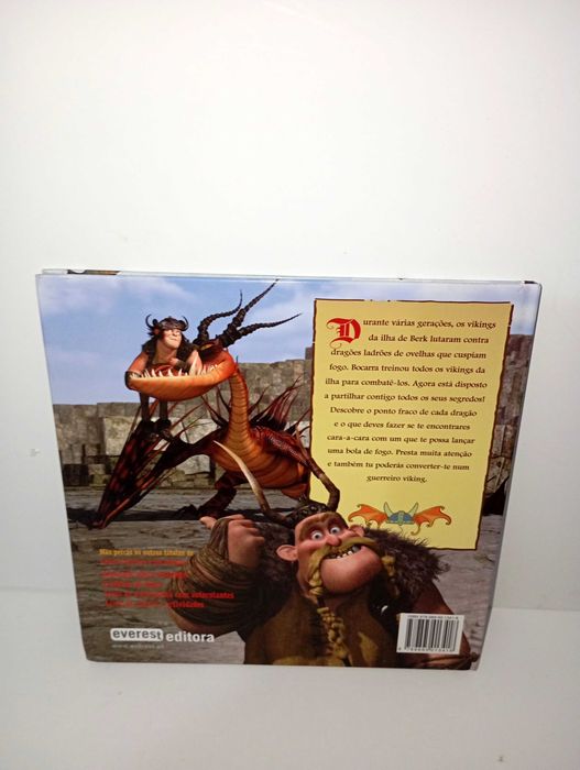 Guia de Bocarra para combater Dragões