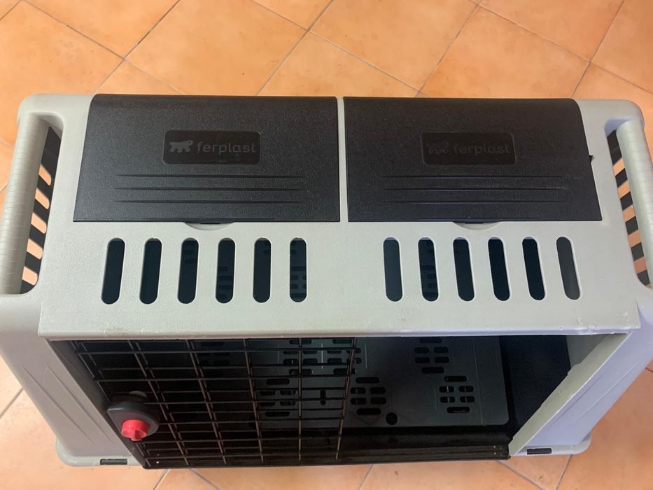 Transportadora grande para cão