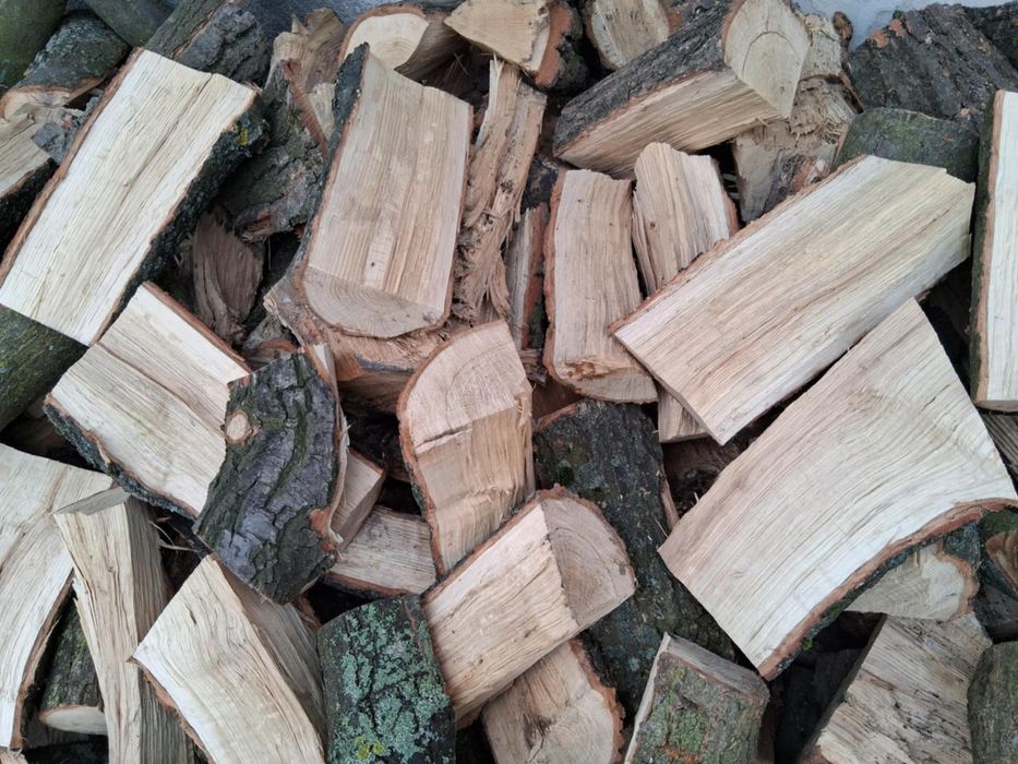 Drewno, Drzewo opałowe dab