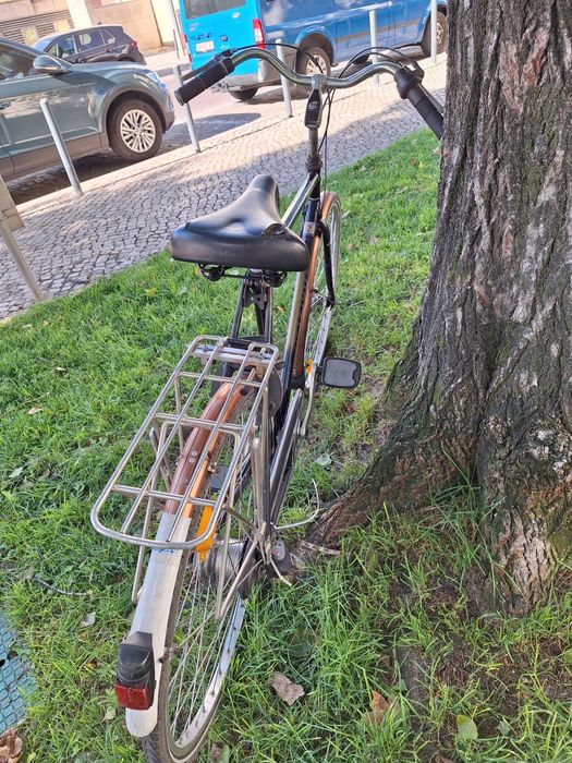 Bicicleta batavus classica