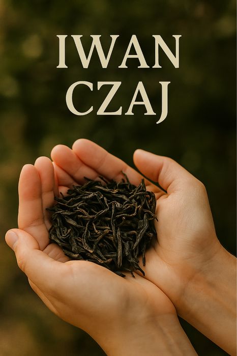 Herbata na sen i spokój – Ivan Czaj 70 g, bez kofeiny