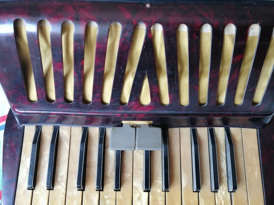 Acordeon. Acordeão