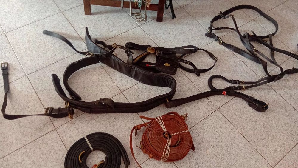 Vendo este material equestre