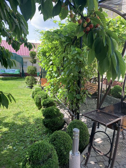 Оренда затишного будинку для сім'ї,  друзів.