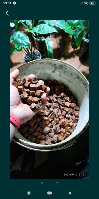 Сосна кора сосновая для Кімнатних рослин та Орхідей