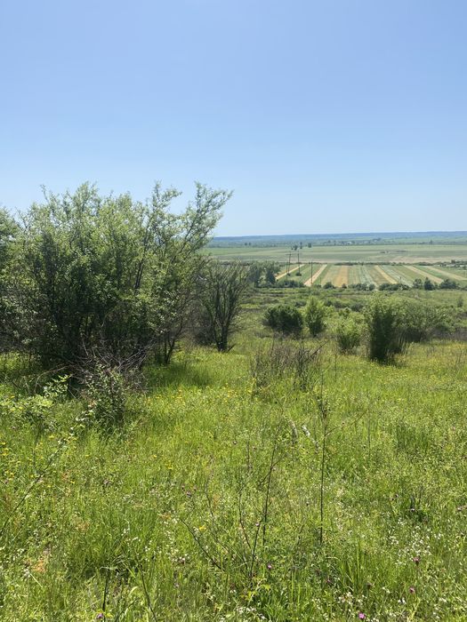 Земельна ділянка