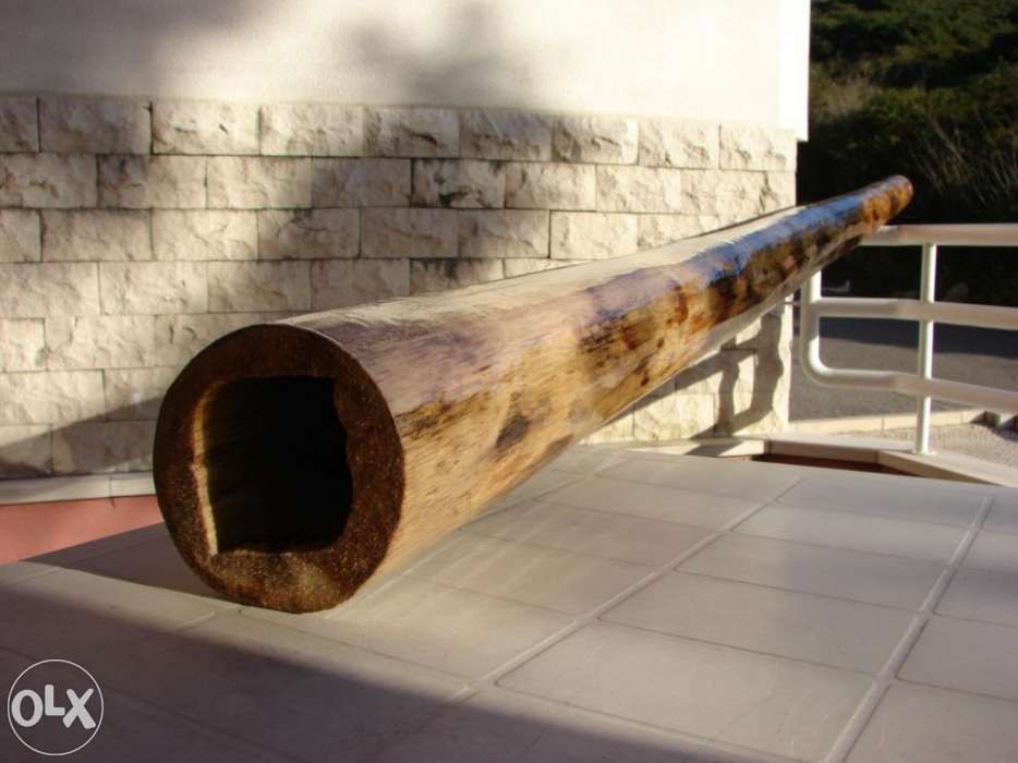 Didgeridoo em Agave