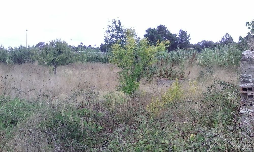 5000 m2 quinta Terreno com ruína troca ou permuta Marinhais