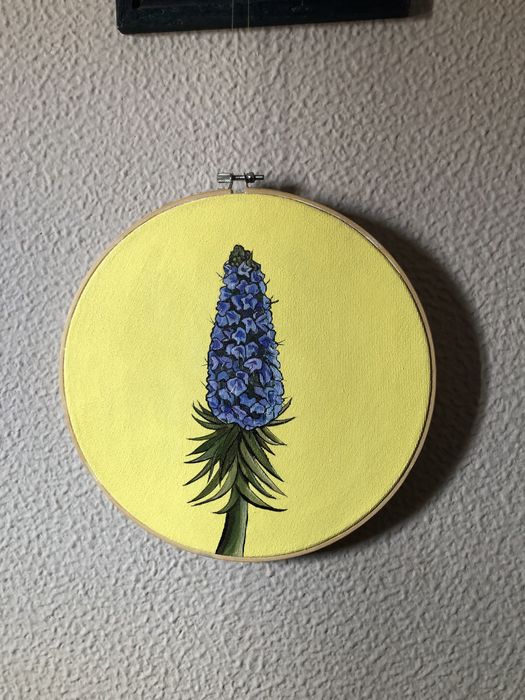 Pintura no bastidor- Planta Maçaroco da Madeira feito por mim