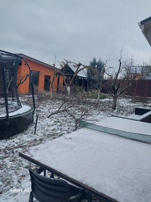 Обрізка дерев обрізка кущів та туй