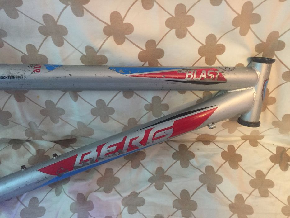 Quadro bicicleta Berg Blast 240 ( rodas  24 polegadas ) troco ou vendo