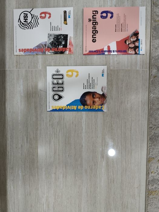 NOVOS - Cadernos de atividades: 9° ano