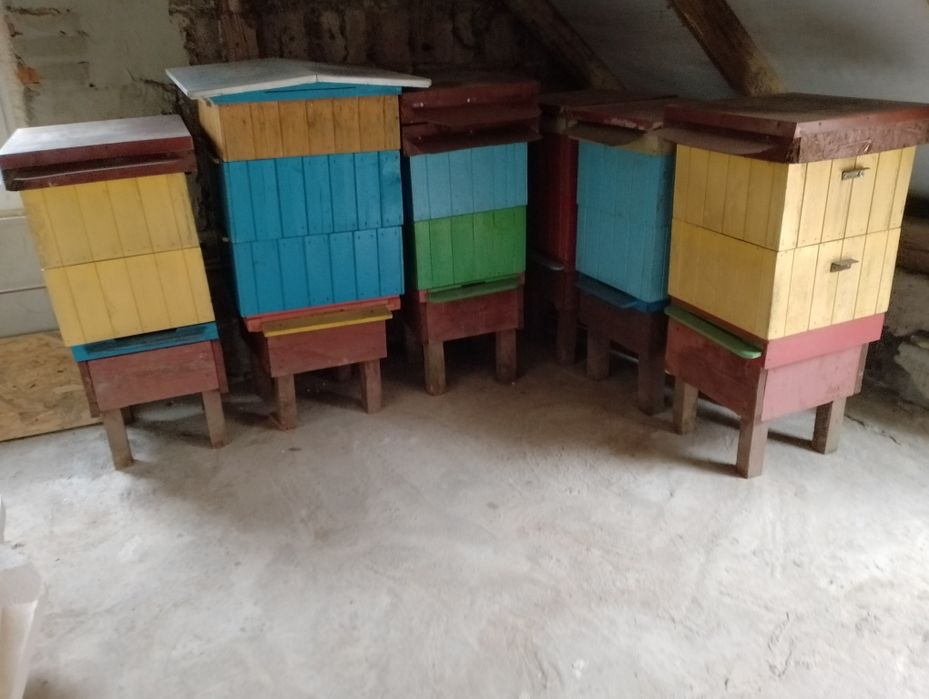 Ule wielkopolskie,pszczoły,pasieka,wosk,węza,pszczelarstwo,