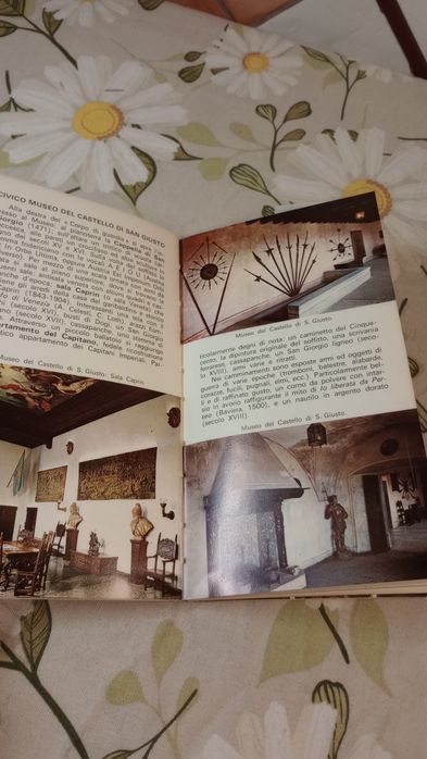 Trieste. Nuova Guida Pratica di 95 illustrazioni..
