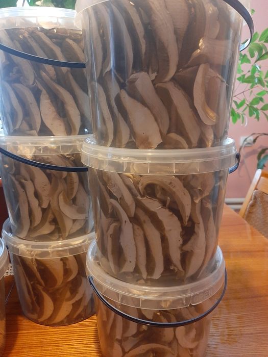 грибы белые сушеные без песка Закарпатья