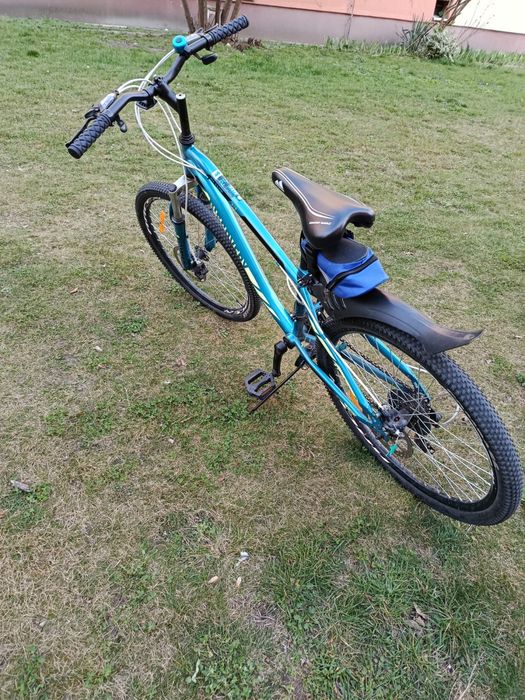 Rower Discovery 24”