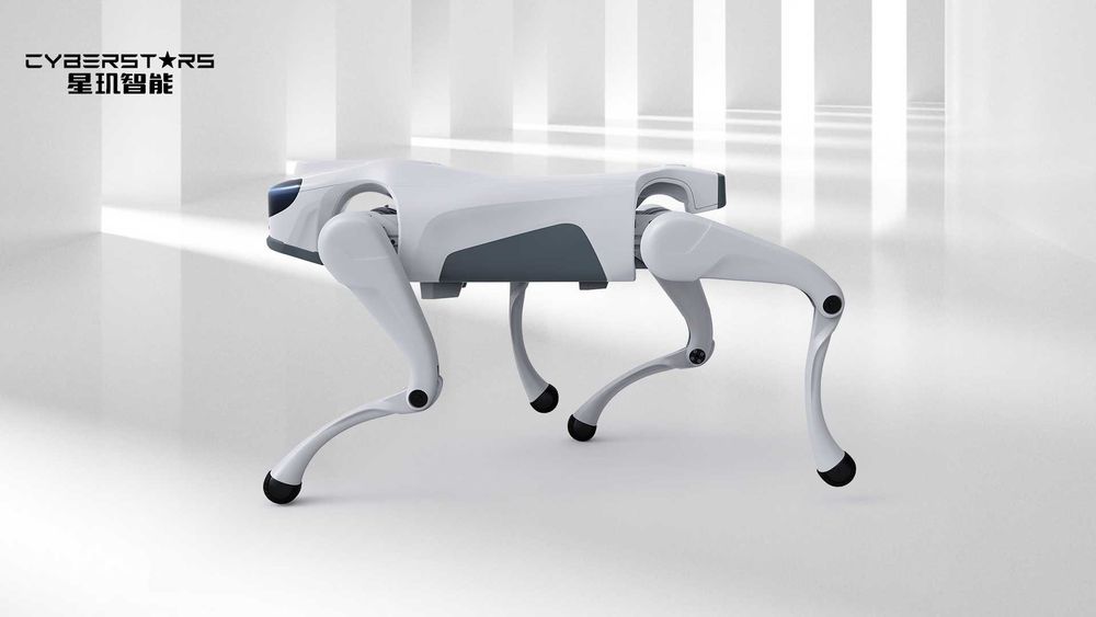 ROBOT pies Cyber 1 (dostępne kolory - BIAŁY lub SZARY, wersja DEV) - dostępne od ręki