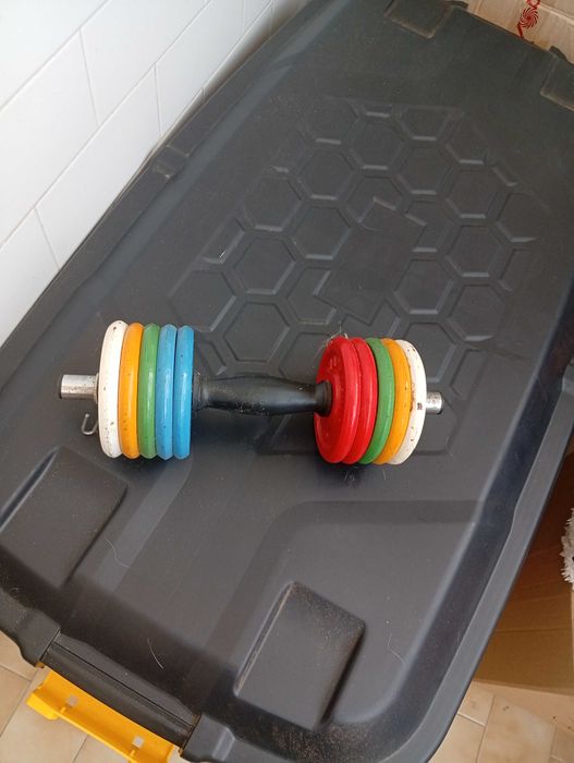 Peso para musculação