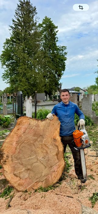зрізання дерев методом арбористики зрізка обрізка чистка ділянок