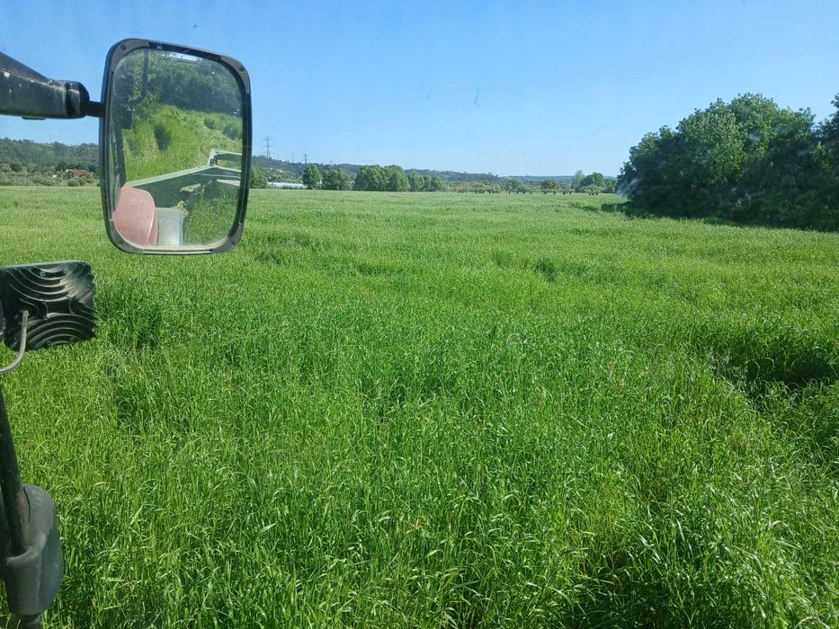 Bolas fenosilagem de azevem