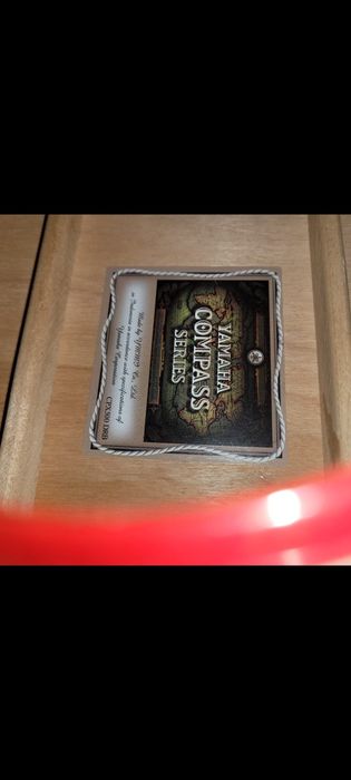 Guitarra Yamaha estimada com mala.