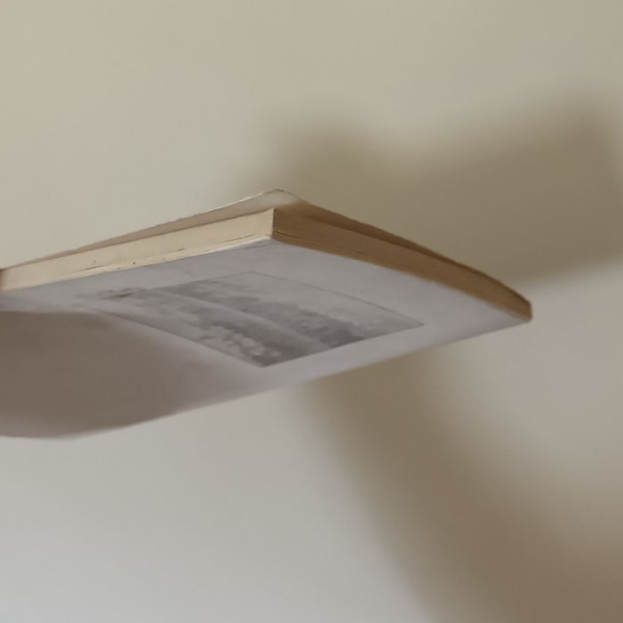 Thermas de São Pedro do Sul de 1930 do mesmo autor de Thermas da Rainh