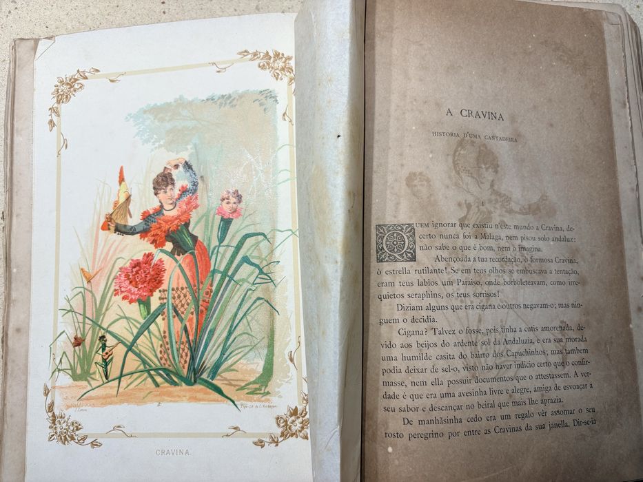 Conjunto de 2 antigos Livros “A vida das Flores” de 1883 - David Corazzi Editor Lisboa
