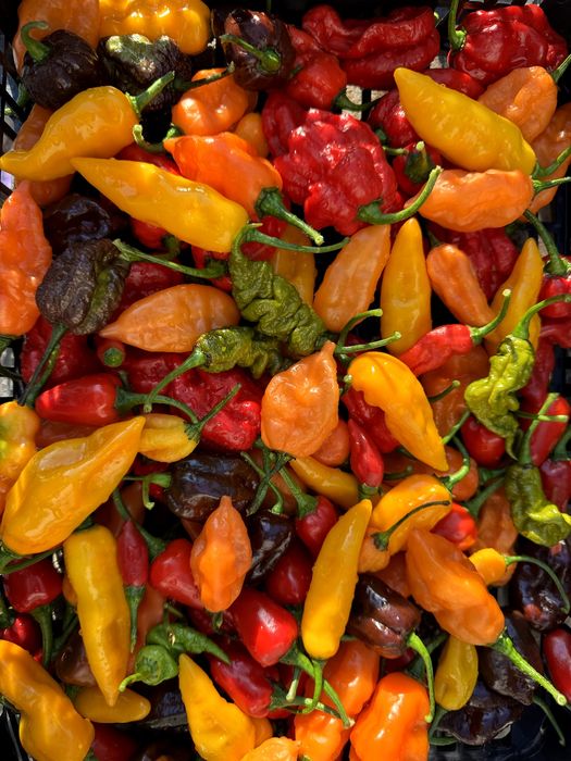 Гострий соус Подарунковий набір Дегустаційний острый  Carolina Reaper