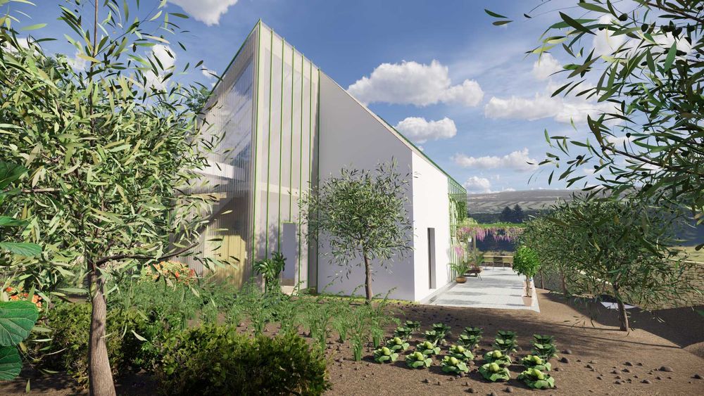 Terreno Particular com Viabilidade de construção em Mangualde