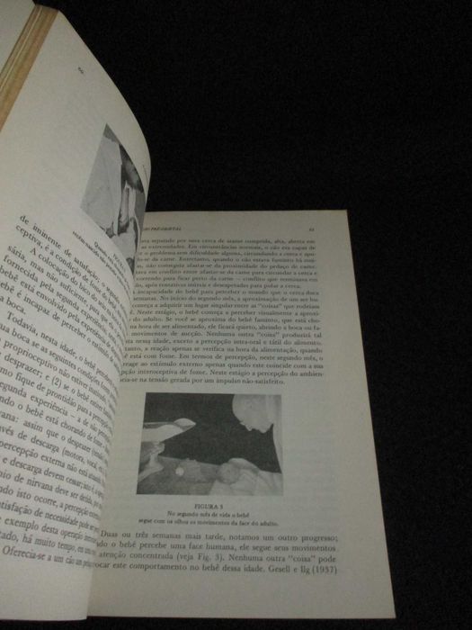 Livro O Primeiro Ano de Vida René A. Spitz