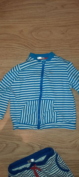 Spodnie bluza body koszulka motyw krab