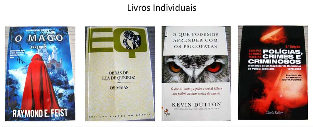 Livros de romance, fantasia, policial e biográficos