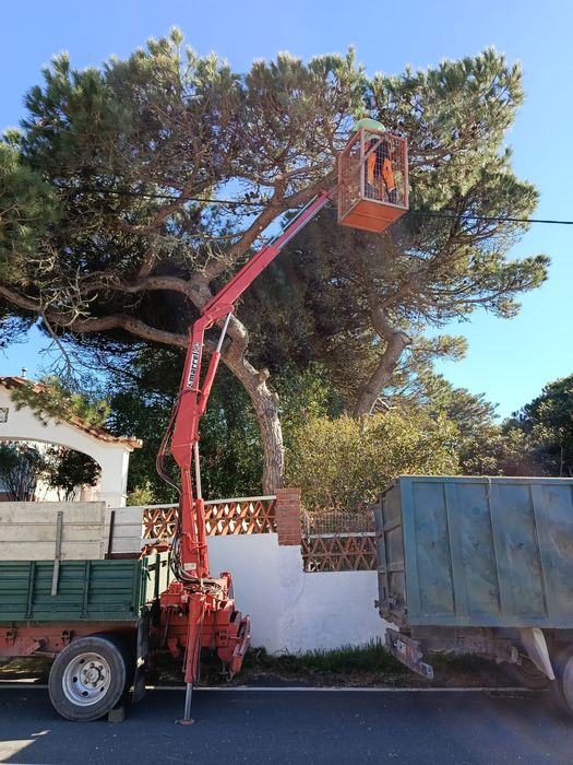 Terreno Limpo e Seguro? Nós Tratamos de Tudo!