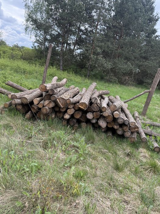Słupki akacjowe ogrodzeniowe 240 cm