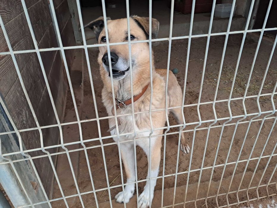 Rudlof , może w końcu będzie miał szczęście w życiu