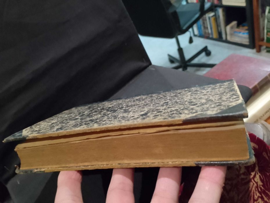 Institutiones Theologiae Fundamentalis 1897