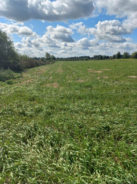Продам 2 земельні ділянки