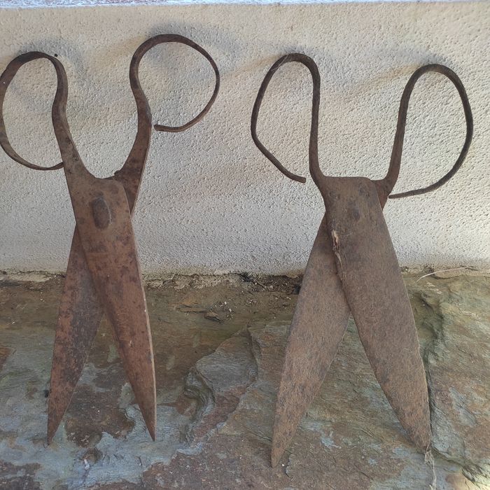 Set of Antique Scissors447112015690475520