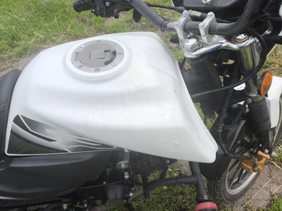 Alpha 125 lx champ
