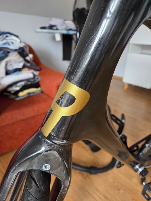 Rose CPTL carbon karbonowy rower na pasku Gates CDX Alfine 11