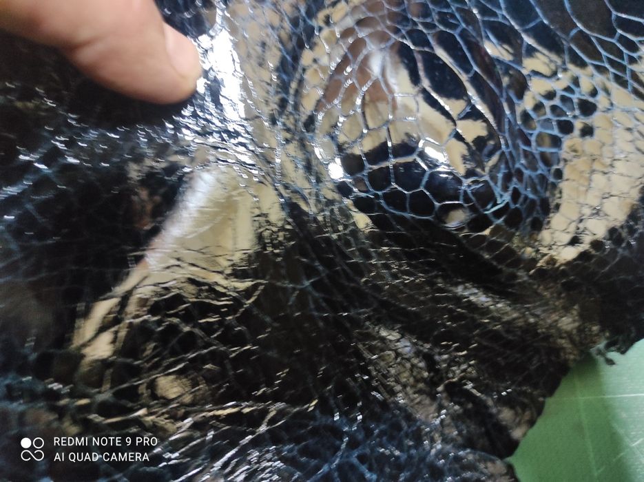 Шматки шкіри МорсьоїЇ  ЧЕРЕПАХИ