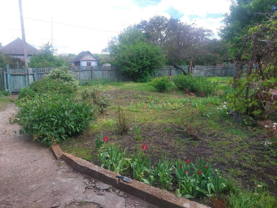 Продаж будинку в с. Попівка