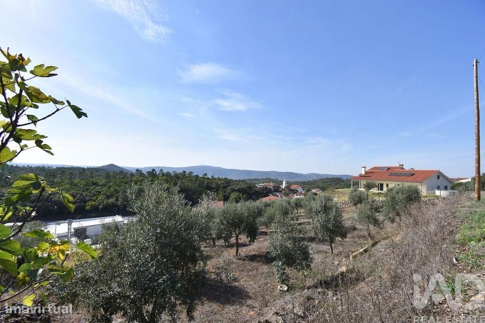 Terreno para construção em São Miguel, Santa Eufémia e Rabaçal